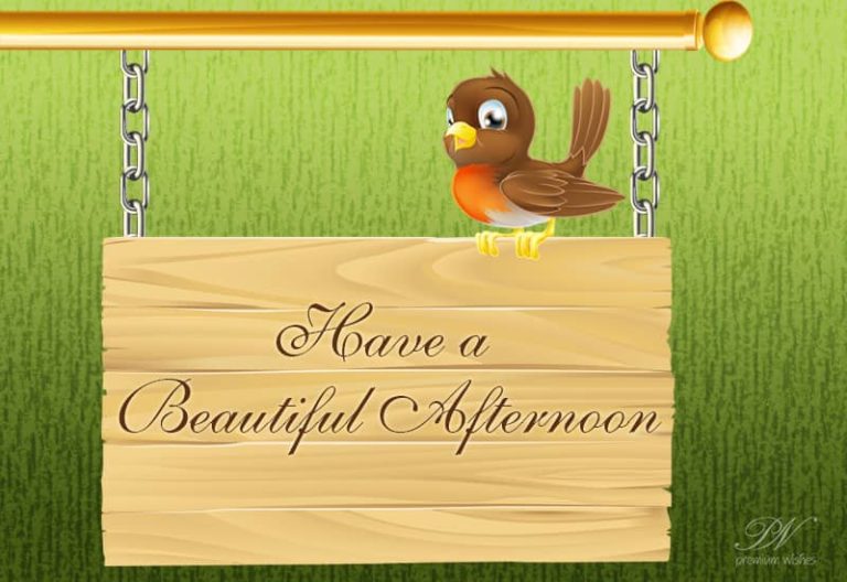 Good Afternoon Wishes