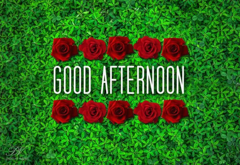 Good Afternoon Wishes