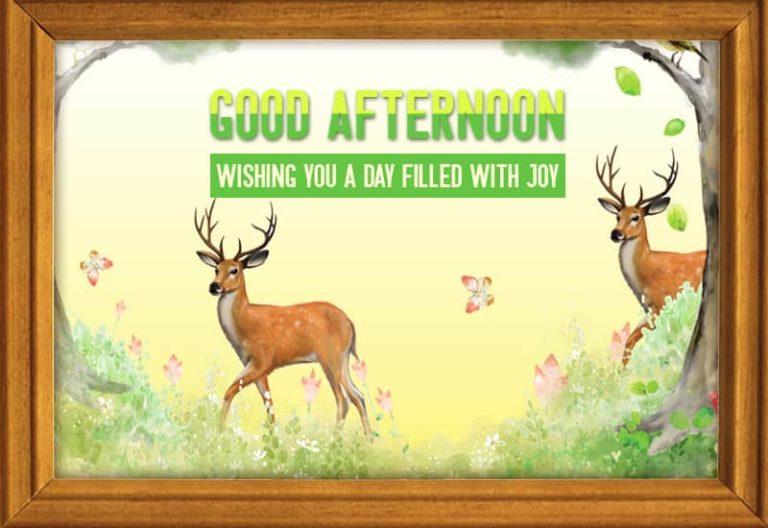 Good Afternoon Wishes