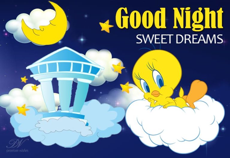Good Night Wishes
