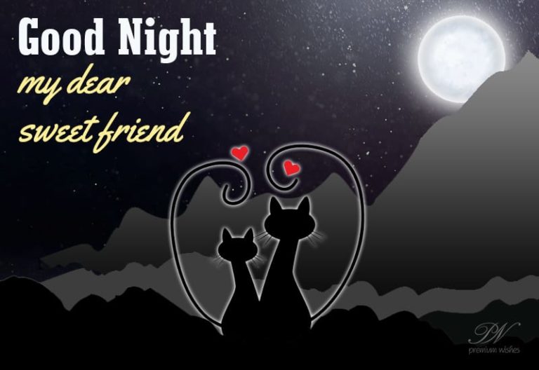 Good Night Wishes
