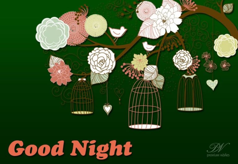 Good Night Wishes