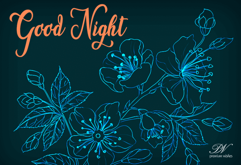 Good Night Wishes