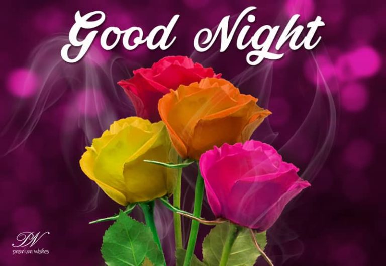 Good Night Wishes