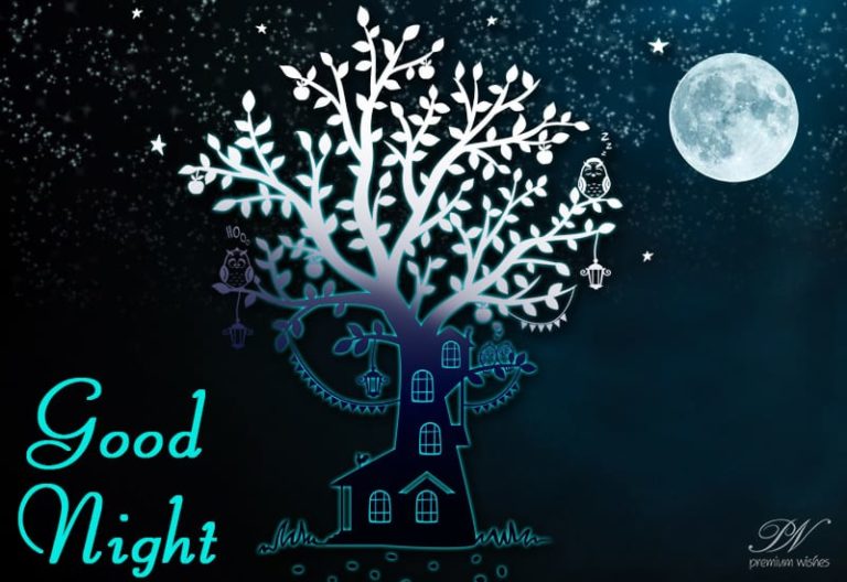 Good Night Wishes