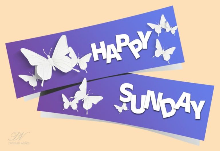 Enjoy your sunday friends