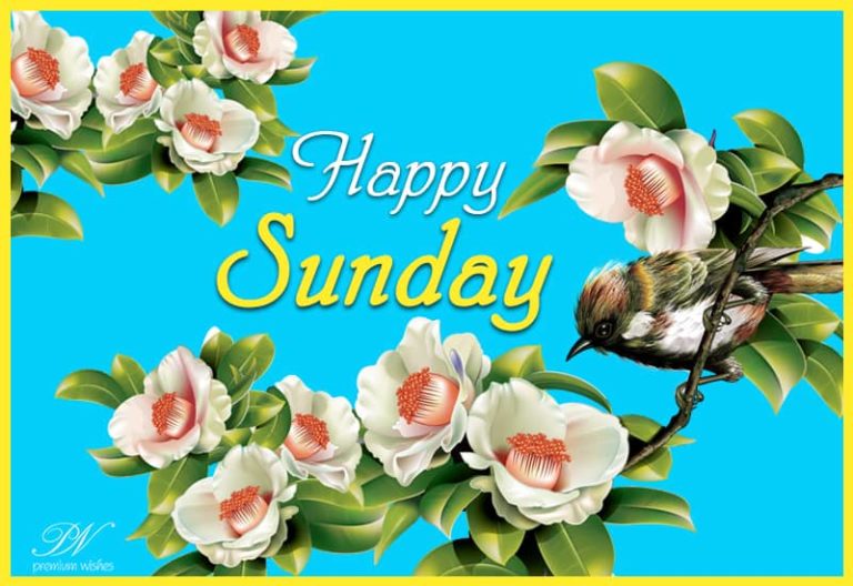 Happy Sunday Morning My Dear