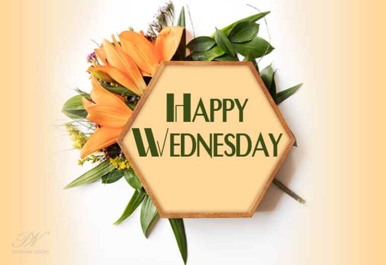 Have a great Wednesday ahead