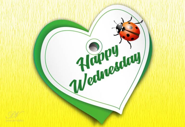 Good Morning Happy Wednesday Friends