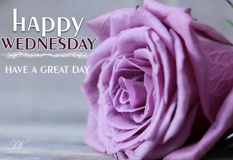 Happy Wednesday – Have a great day ahead