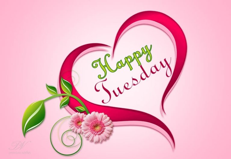 Happy Tuesday Friends