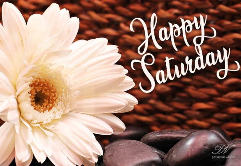 Happy Saturday – Enjoy the much awaited weekend