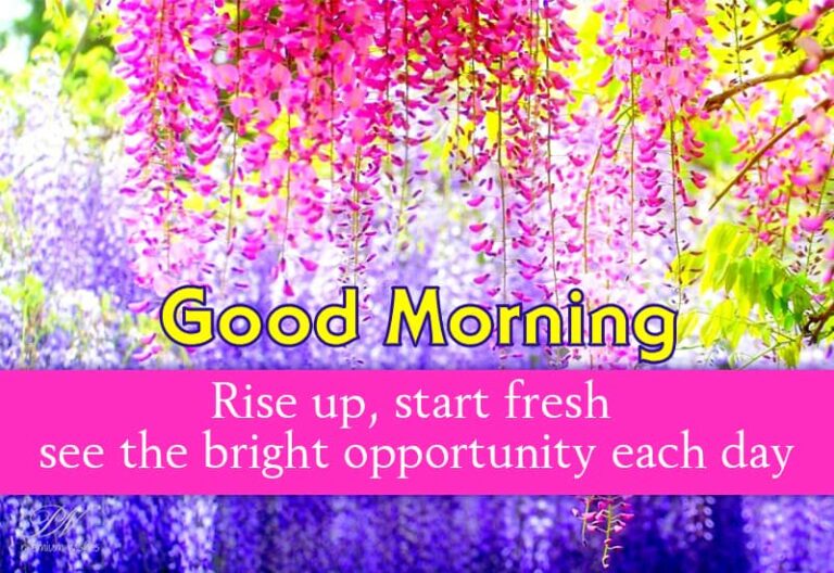 Good Morning – Rise Up. Start Fresh