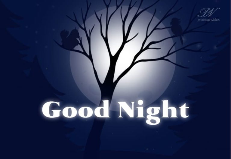 Good Night Rest Peacefully Sweet Dreams