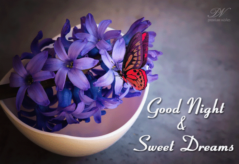 Good Night Wishes