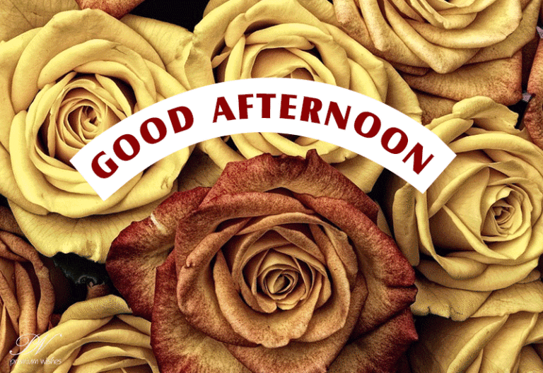 Good Afternoon Wishes
