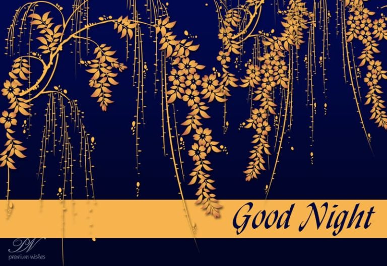 Good Night Wishes