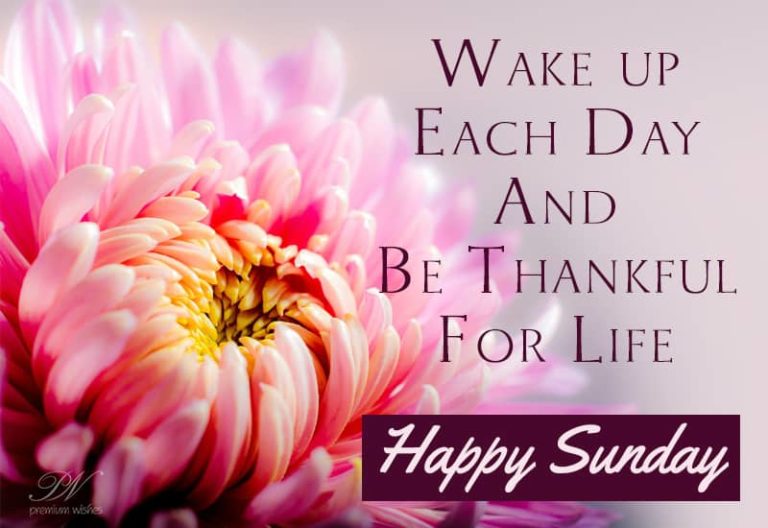 Happy Sunday – Wake Up and Be Thankful For It