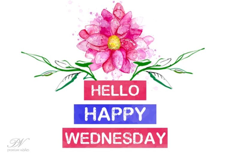 Hello Happy Wednesday