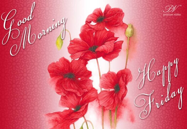 Good Morning and Happy Friday