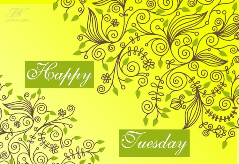 Happy Tuesday – Have a great day – enjoy the colours of nature