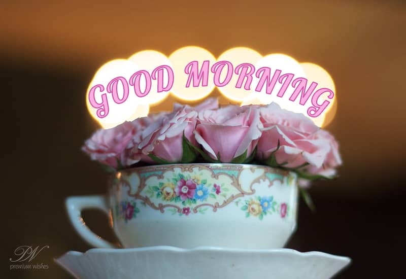 Good Morning Wishes with flowers