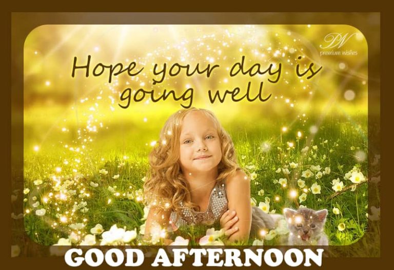 Good Afternoon Wishes