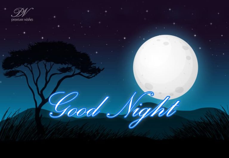 Good Night Wishes