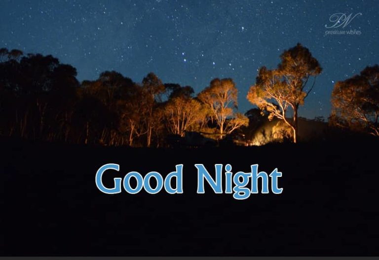 Good Night Wishes