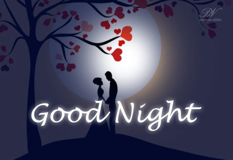 Good Night Wishes