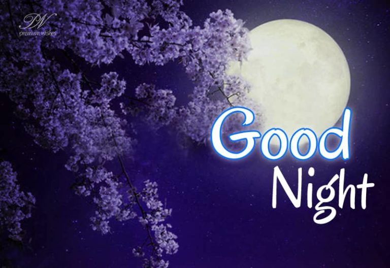 Good Night Wishes