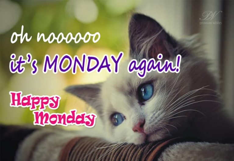 Happy Monday – Back To Work Again