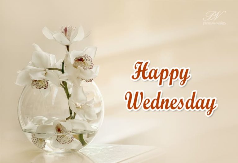 Happy Wednesday Friends – Stay Safe