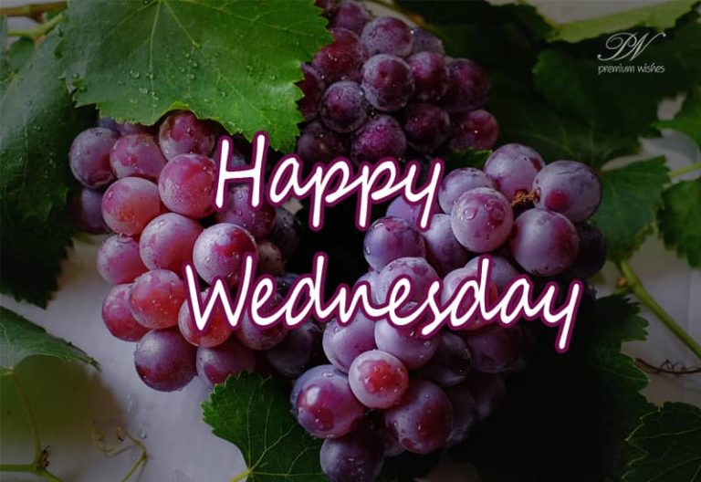 Wishing you a great and happy Wednesday