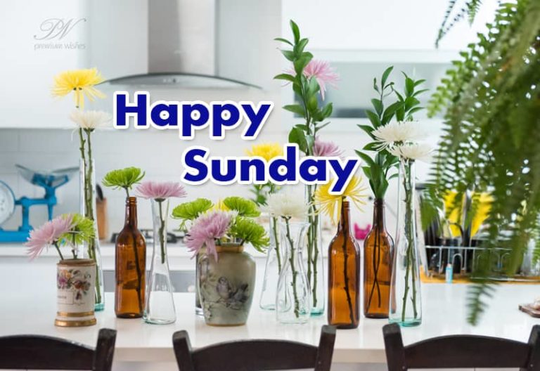 Happy Sunday – Day For Wallowing