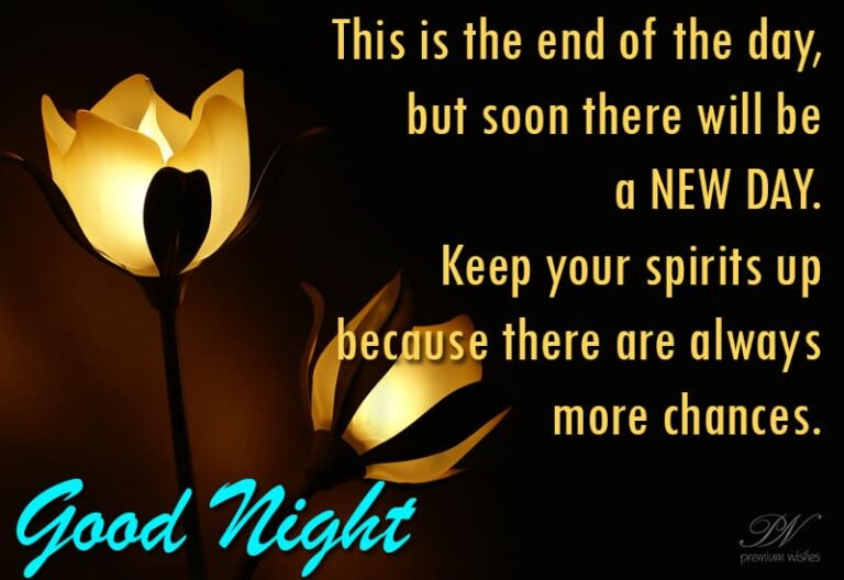 Good Night Wishes