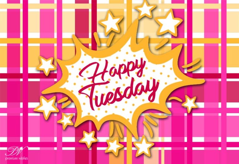 Happy Tuesday Friends Enjoy