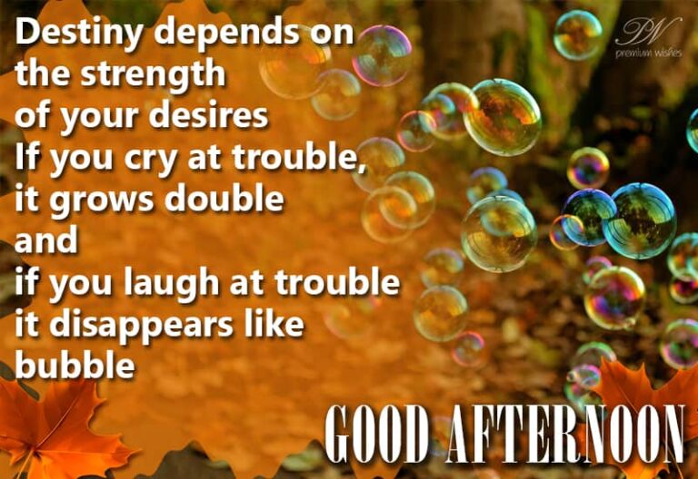 Good Afternoon Wishes