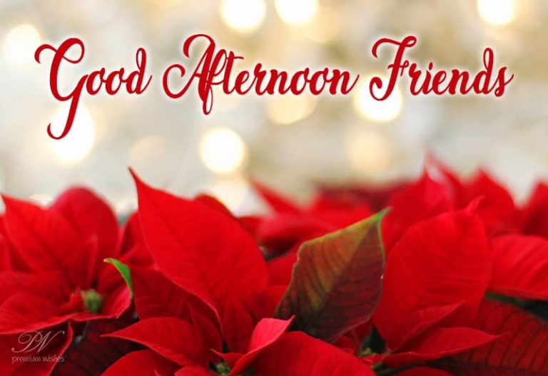 Good Afternoon Wishes