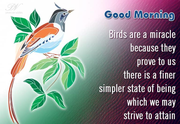 Good Morning Wishes