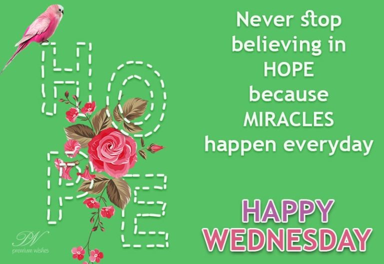 Happy Wednesday – Miracles Happen Everyday – Never Lose Hope