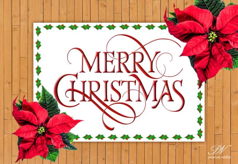 Merry Christmas Dear Friends