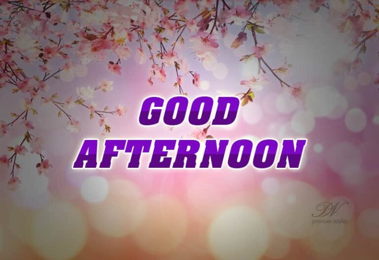 Good Afternoon Wishes