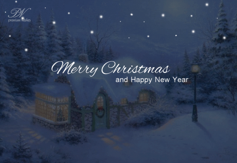 Merry Christmas and Happy New Year Greetings