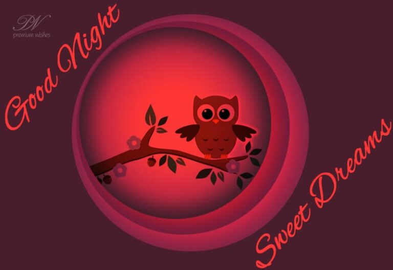 Good Night Wishes