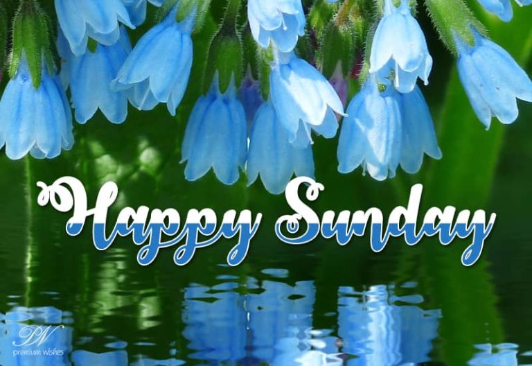 Happy Sunday Friends – Enjoy the Sun