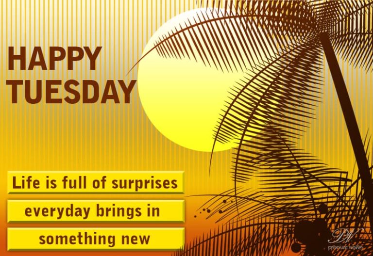 Happy Tuesday – Life is full of surprises