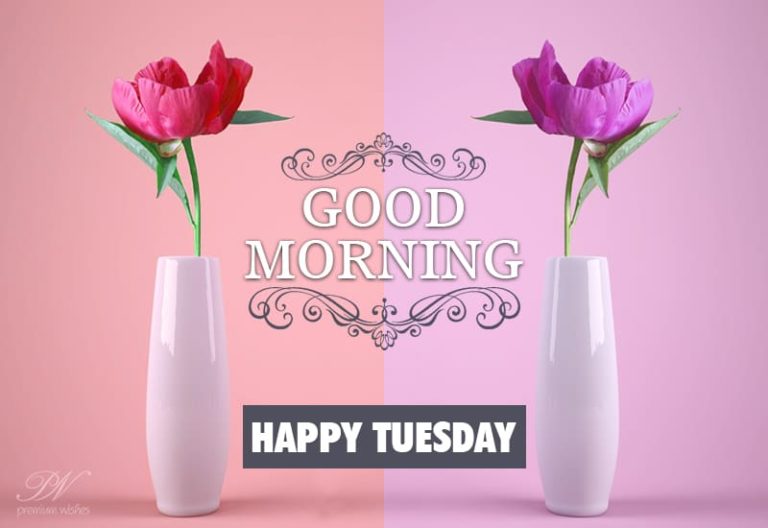 Happy Tuesday With Flowers