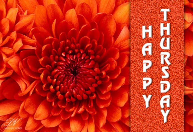 Happy and Sunny Thursday Wishes