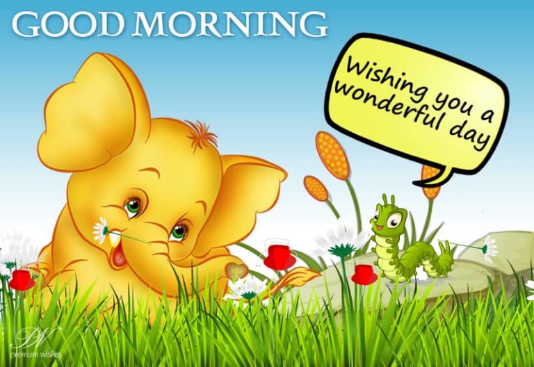 Wishing you a wonderful day – Good Morning